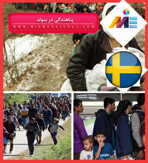 پناهندگی در سوئد