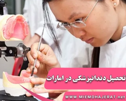 تحصیل دندانپزشکی در امارات